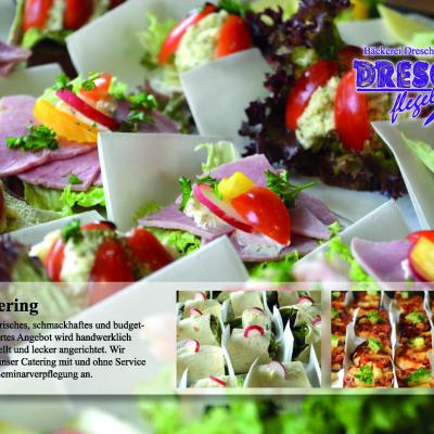 2017 02 13 Vs Dreschflegel Flyer 2002